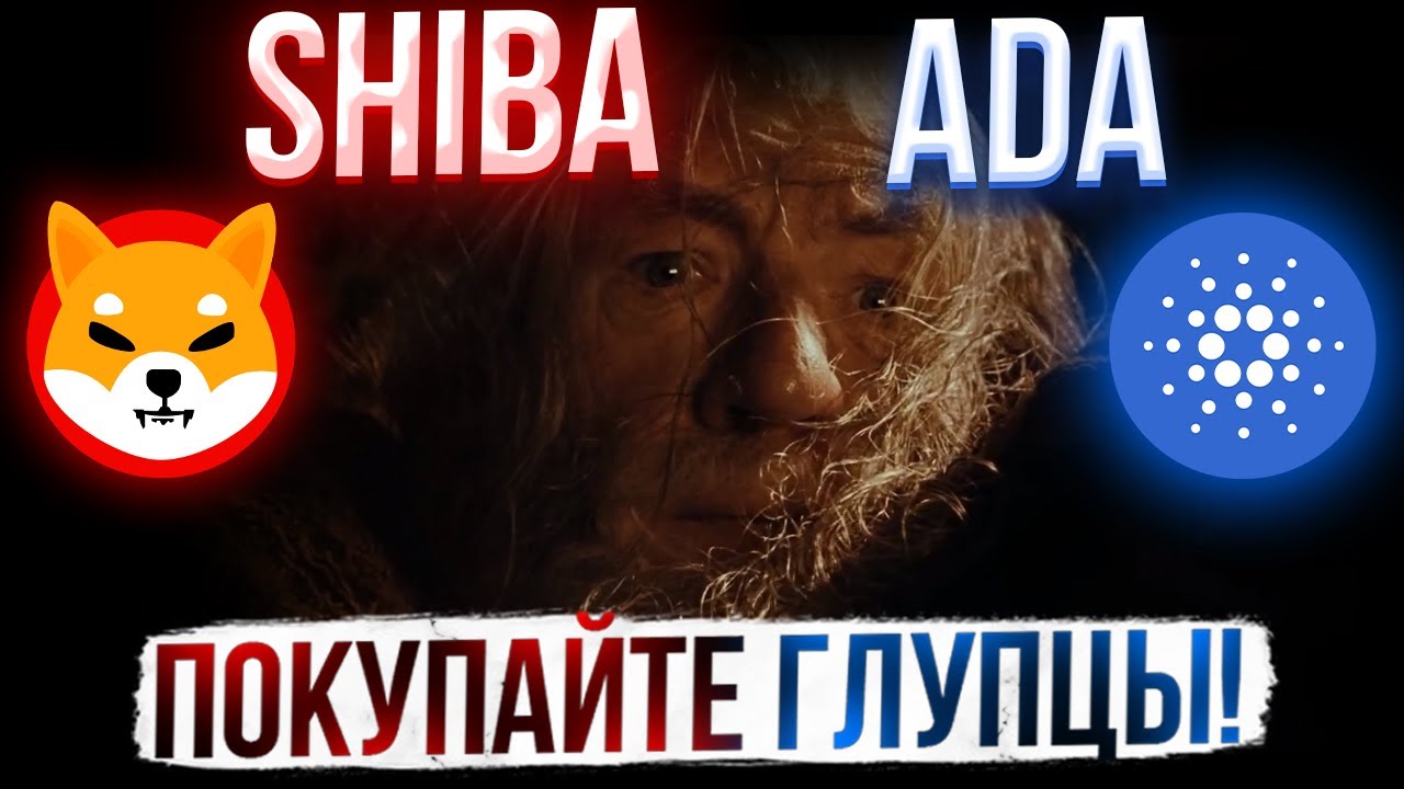 Мы летим на сузуки