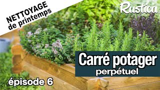 Carrés Potager Perpétuels Au Printemps - 6 - Le Thym, Un Allié Contre Les Parasites