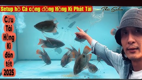 Hành trình setup hồ cá HỒNG KÌ PHÁT TÀI cộng đồng của Thái Salem vê lốc