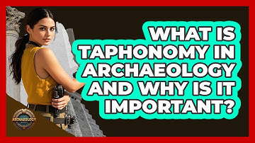 What Is Taphonomy In Archaeology And Why Is It Important? - Archaeology Quest