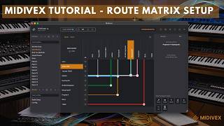Midivex - Intelligent Midi Matrix (Tutorial on MIDI Routing and Matrix)