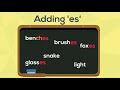 Plural Nouns and Their Rules