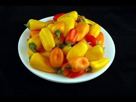 200 კალორიის სხვადასხვა სახის საკვები