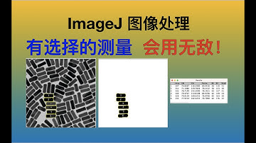 『超实用』ImageJ图像处理 - 有选择的测量，巧用ROI Manager