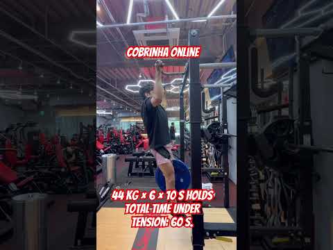 44 kg × 6 × 10 s holds. Total time under tension: 60 s. COBRINHA ONLINE #cobrinhaonline #mma