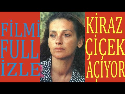 Video: Kiraz çiçekleri açtığında