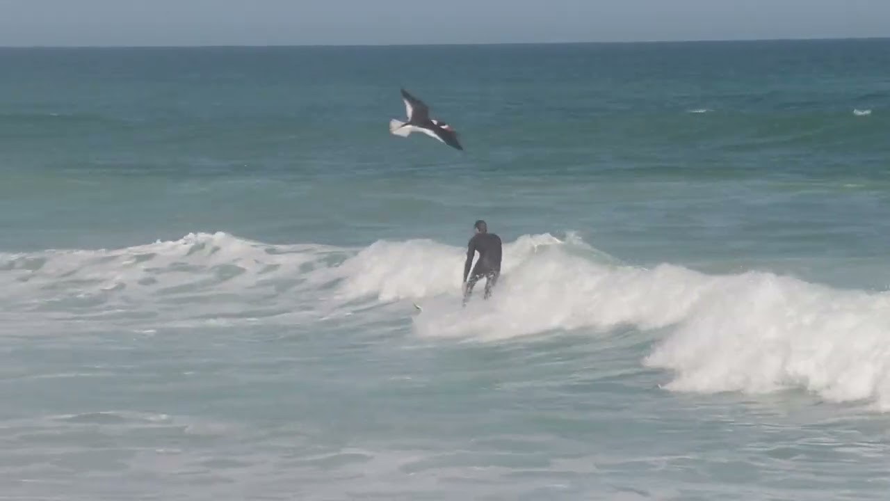 Surfing Florida. East coast or your toast