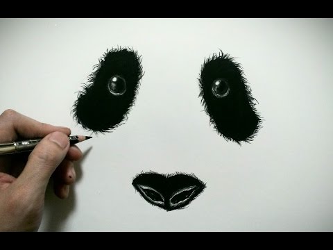 色鉛筆でパンダの顔を描いてみた How To Draw A Panda Youtube