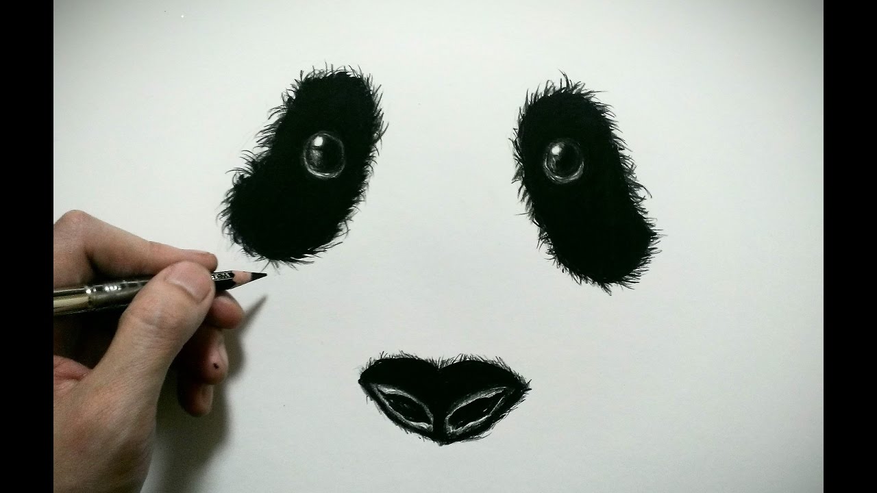 色鉛筆でパンダの顔を描いてみた How To Draw A Panda Youtube