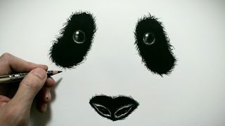 色鉛筆でパンダの顔を描いてみた Realistic Colored Pencil Drawing Of A Panda Face Youtube