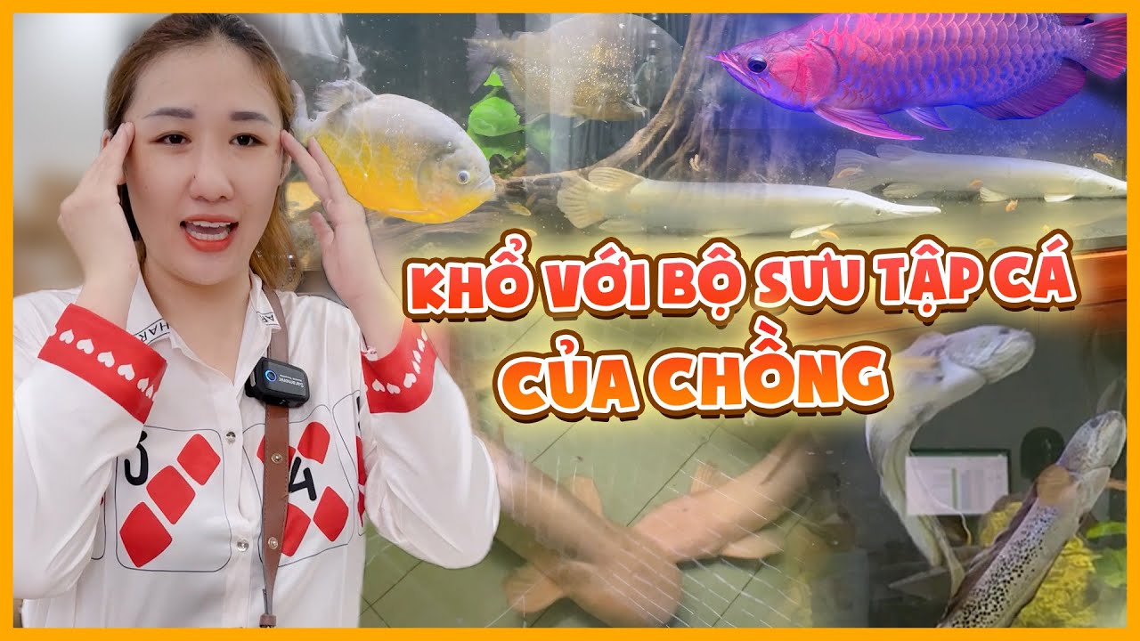 Khổ với bộ sưu tập cá 