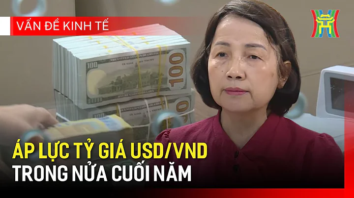 Áp lực tỷ giá USD/VND trong nửa cuối năm | Vấn đề kinh tế