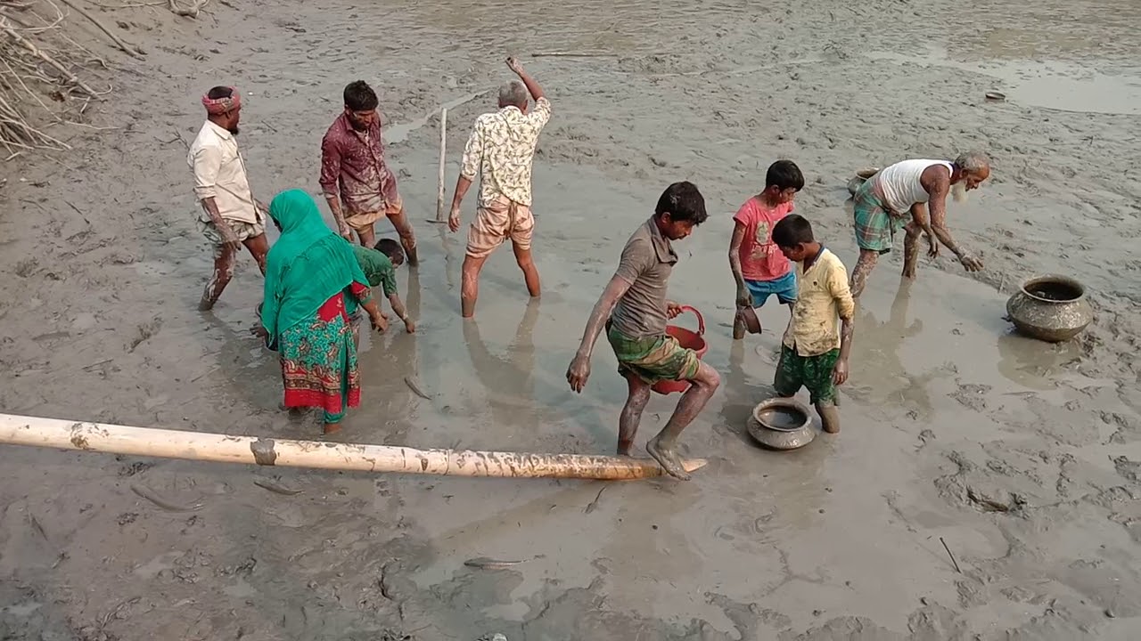 Housewife caught fishisg Canel and pond village  deep 2020!