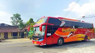 Download Lagu BUS SHOLAWATAN - AL QOLBU MUTAYYAM MP3