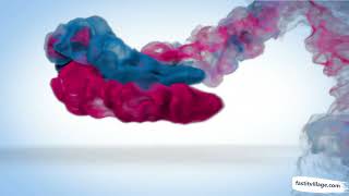 Fast WhatsApp Sender | Overview | Fast IT Village screenshot 1