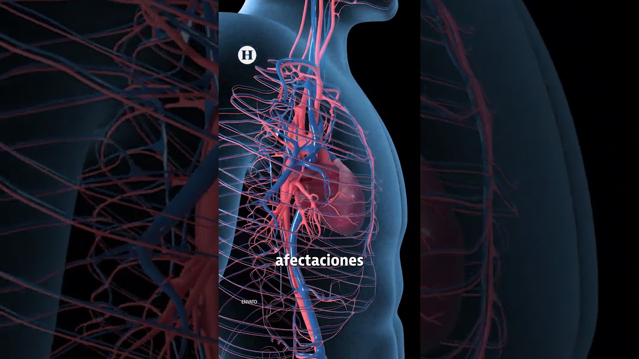 El cuerpo humano está preparado para largos viajes al espacio? NASA detecta nuevos daños biológicos - YouTube