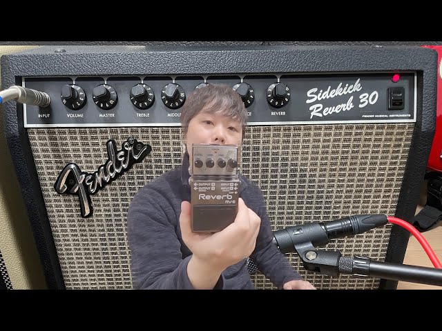 Fender Sidekick Reverb 30 ギター用アンプ Fender Sidekick Reverb 30 - What To Know & Where To Buy | Equipboard