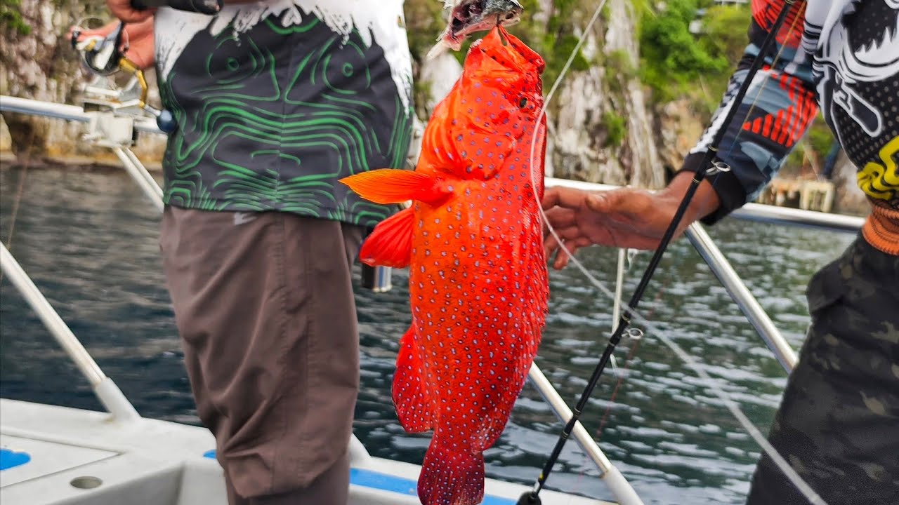 Tukun Perak ep2.teknik mengecoh dan termenung lapah menjadi.kerapu bara membara