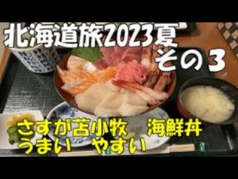 キャンピングカーでまわる北海道旅 その３　苫小牧　ぷらっとみなと市場で海鮮丼と苫小牧緑ケ丘公園でサクラとスミレとあおいの話　　2021年　2022年北海道記事紹介