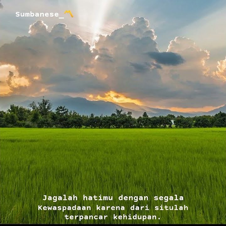 Story'WA bijak rohani kristen terbaru 2021 / jagalah hatimu 🎈