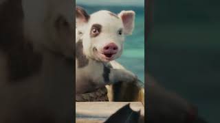Rotten Tomatoes | Moana | In Cinemas Now | In English and Hindi