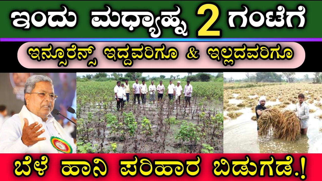 ಬೆಳೆ ಹಾನಿ ಪರಿಹಾರ ಹಣ ಬಿಡುಗಡೆ || ಇನ್ಸೂರೆನ್ಸ್ ಇದ್ದವರಿಗೂ & ಇಲ್ಲದವರಿಗೂ || Crops loss compensation Credit