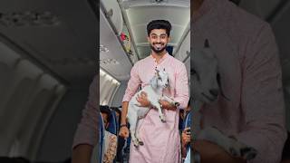 half ticket plane #shorts #comedy #bongguy #bongposto