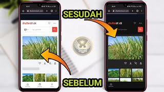 Cara Paksa Menerapkan Tema Gelap Pada Laman Situs Chrome