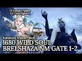 [Lost Ark]1680 SE Wild Soul - Brelshaza(Narok) NM Gate 1-2