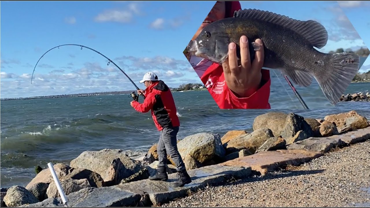 Fish Sign Ct Tautog fishing at Stonington Point in Connecticut (11/12, 2022) - YouTube