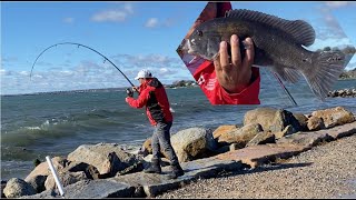 Tautog fishing at Stonington Point in Connecticut (11/12, 2022)