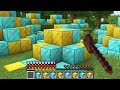 I used WORLD EDIT in this Minecraft UHC...