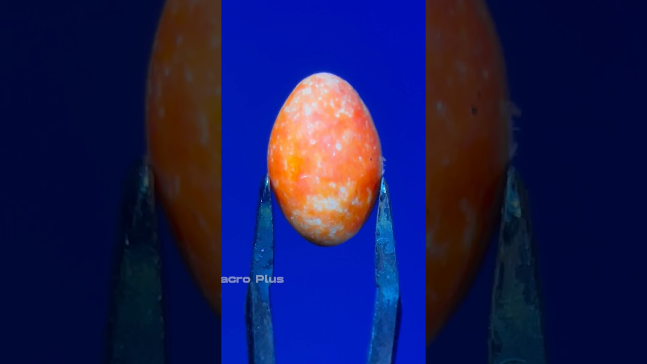 Burning candy (ASMR/CLOSEUP)