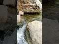 ريفية وحاملة الجرة ريفية وحاملة الجرة
