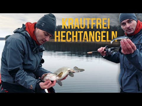 Weed-free fishing in shallow water – Top tips & rigs for catching more pike! 🎣🔥