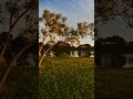 Magaliespark