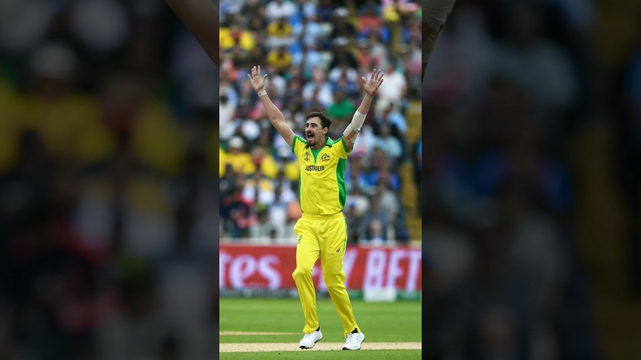 wow! mitchell starc is amazing 