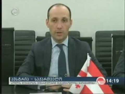 საქართველოსა და ავსტრიას შორის თანამშრომლობა გაღრმავდება