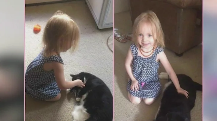 Mom's boyfriend charged with murder of girl, 5