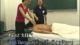 BMS Therapy セミナー講座（予告編）