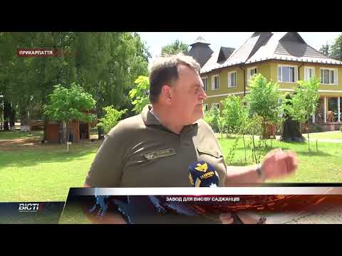 Завод для висіву саджанців