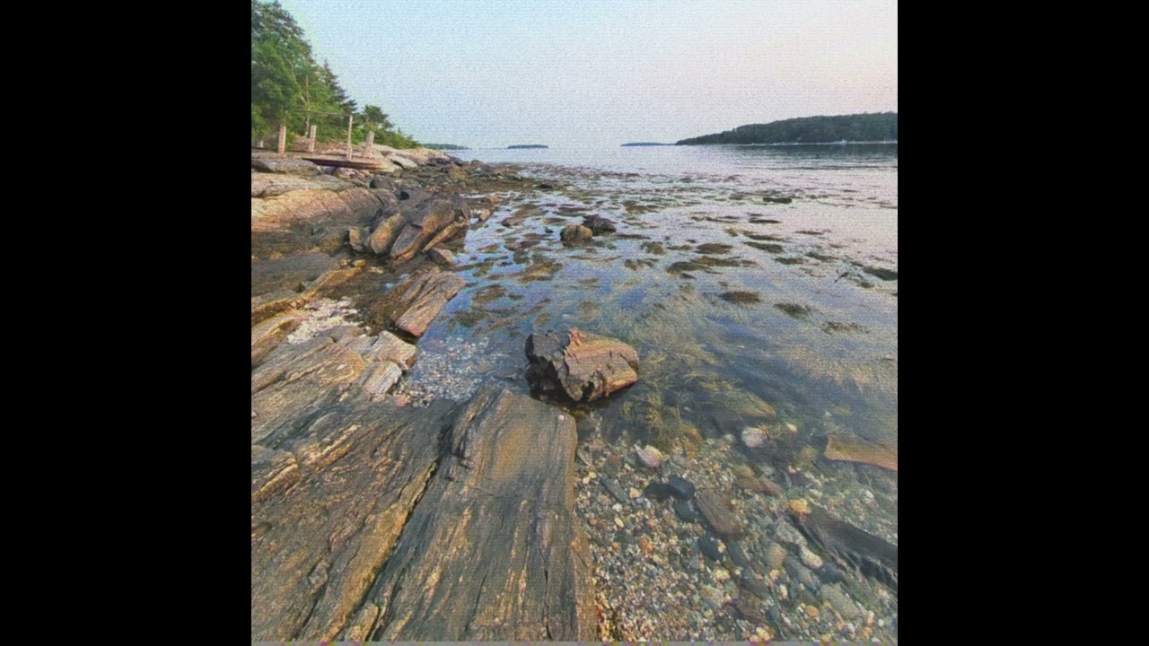 Valex Venture // MEMORY SERVES