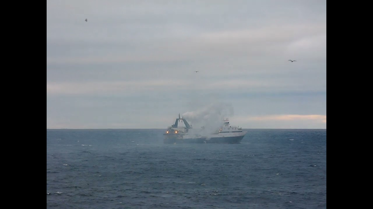 THAROS Antarctic At Sea Catching 2