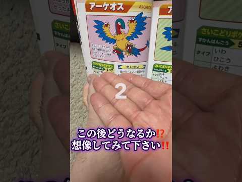 #ポケモン#アーケオス