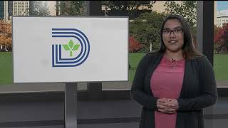 One Dallas Update: March 4, 2022