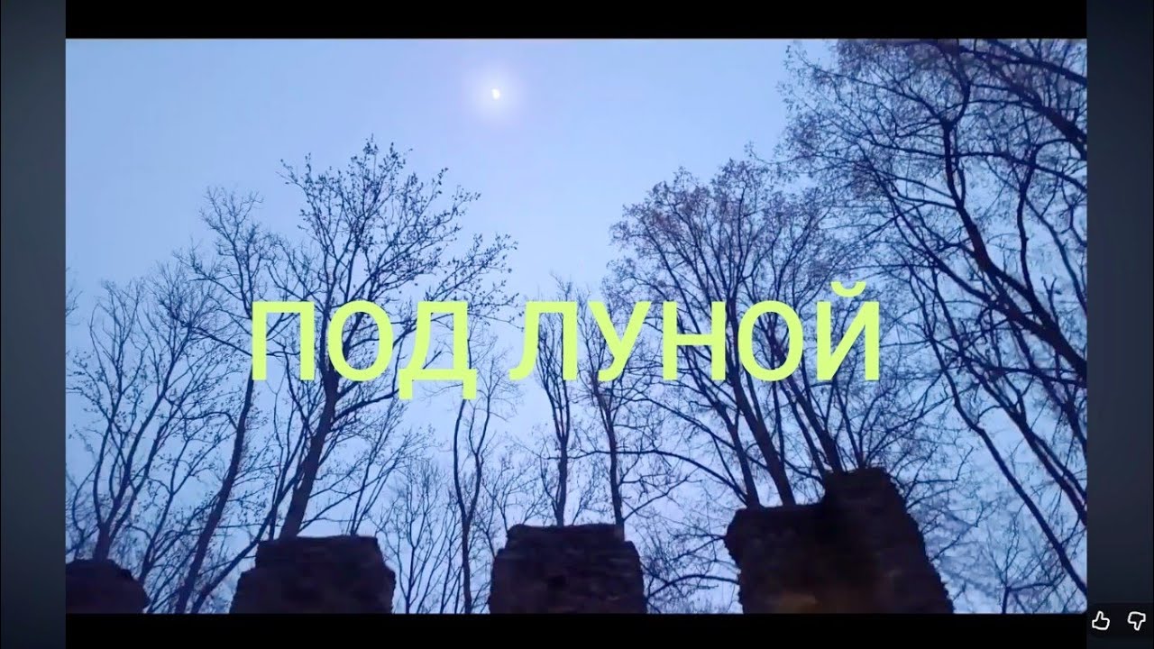 Тени руин замка 🆚  Прогулка при луне#olinacz #чехия #природа#nature