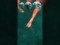 WE SWAM WITH THE WORLD'S LARGEST SHARK 🦈 #shorts #sharks #comedy