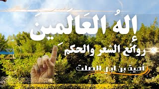 قصيدة أمية بن ابي الصلت || اله العالمين وكل ارض من اجمل ما قيل في الشعر العربي