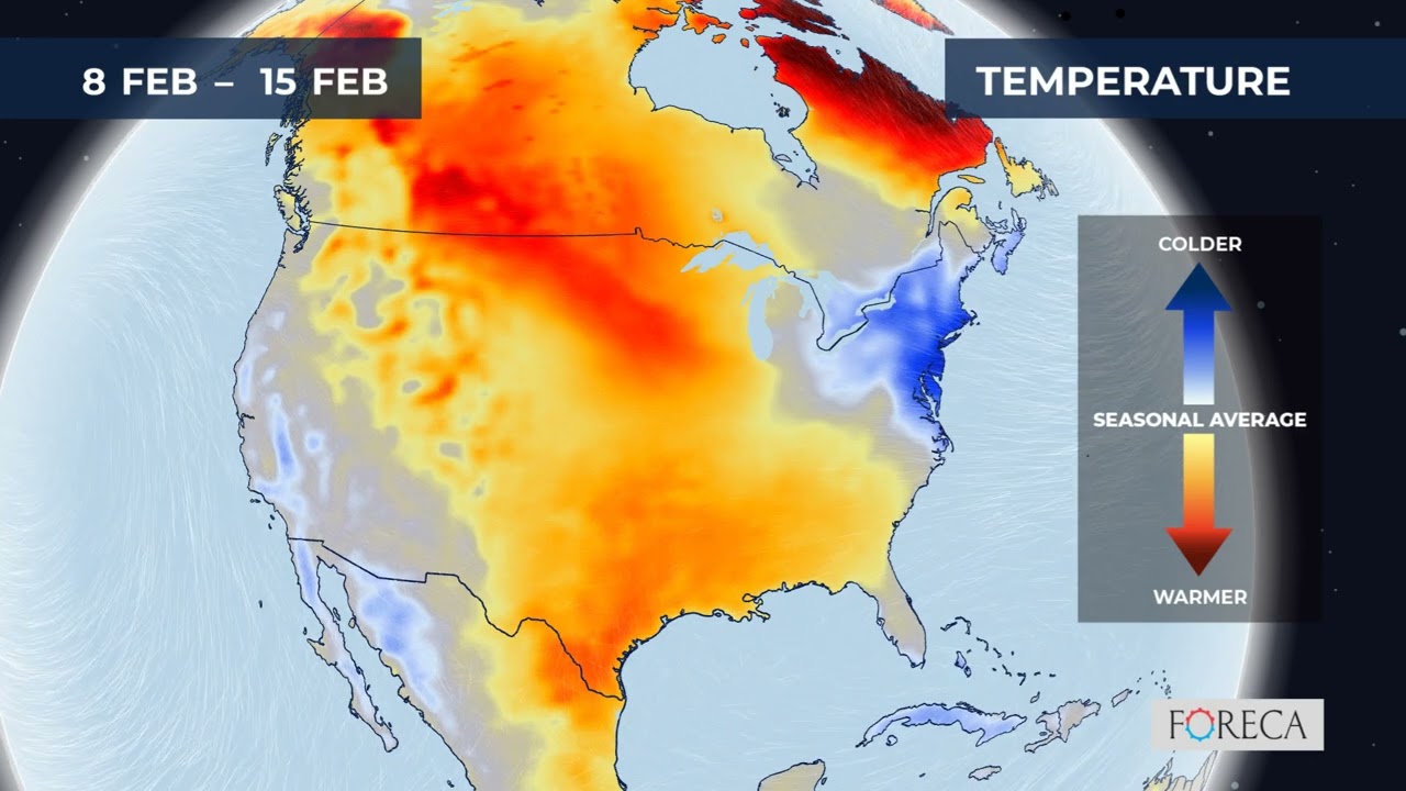 Monthly temperature forecast for the USA 2/1/2026