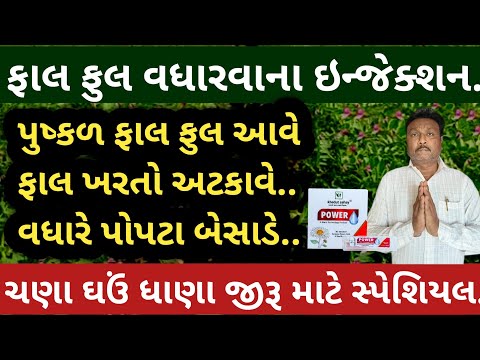 ફાલ ફુલ વધારવાના ઇન્જેક્શન 💥 પુષ્કળ પોપટા આવશે | ચણા ઘઉં ધાણા જીરૂ માટે | હરીભાઈ પટેલ | khedut sahay